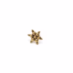 Star Earring