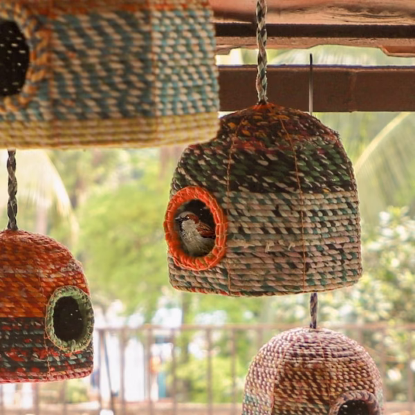 Teepe Shape Bird House