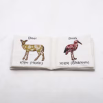 Animal Book - Image 7