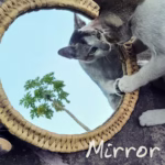 Round Hogla Wall Hanging Mirror