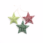 Christmas Star S6 - Image 4